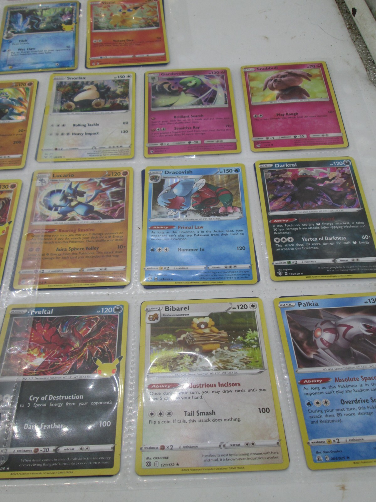 Foto 7 di 7