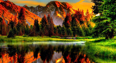 Preserve Nature Allure For Life Photo Collection(+270)paul Art Collection(+350)