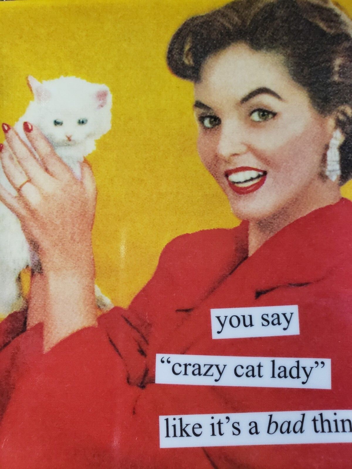Anne Taintor Melamine Tray Plate 5.5" Crazy Cat Lady like it's a bad