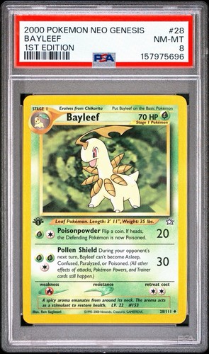 Bayleef (1st Edition) graded PSA 8 for sale on eBay