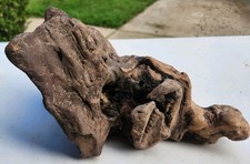 Natural Burl Wood Cap Organic Freeform Woodworking Craft Turning Blank Display