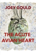 The Acute Avian Heart by Joey Gould [Paperback]