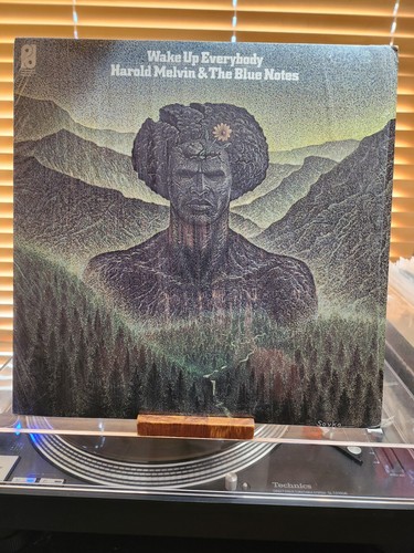 Harold Melvin And The Blue Notes, Wake Up Everybody, 1975 1st Philly Intl. sehr guter Zustand+