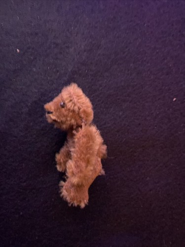 ANTICA MINIATURA ANNI 20 - 50 RARO ORSO SCHUCO CANNELLA MOHAIR CON OCCHI DI PERLINE - Foto 4 di 5