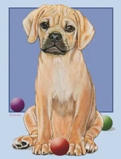 Puggle Blank Note Card