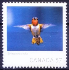 Canada 2010 MNH, Birds Rufous Hummingbird, Wildlife Photography of Year