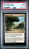 2017 MAGIC: THE GATHERING COMMANDER 2017 #249 EXOTIC ORCHARD PSA 8