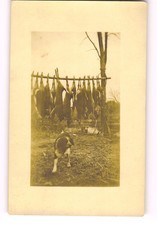 Hunting Dog with several dead deer and rifles - deer hunting RPPC Postcard