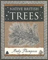Native British Trees | Andy Thompson | Taschenbuch | Kartoniert / Broschiert
