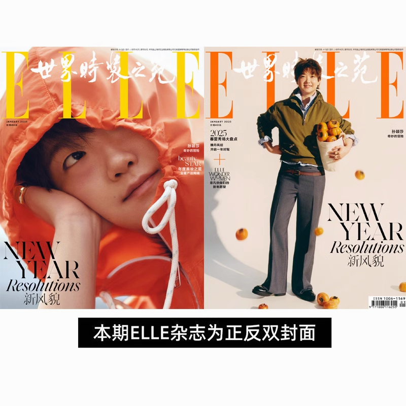 ELLE China Jan 2025 Chinese Magazine with cover on Sun