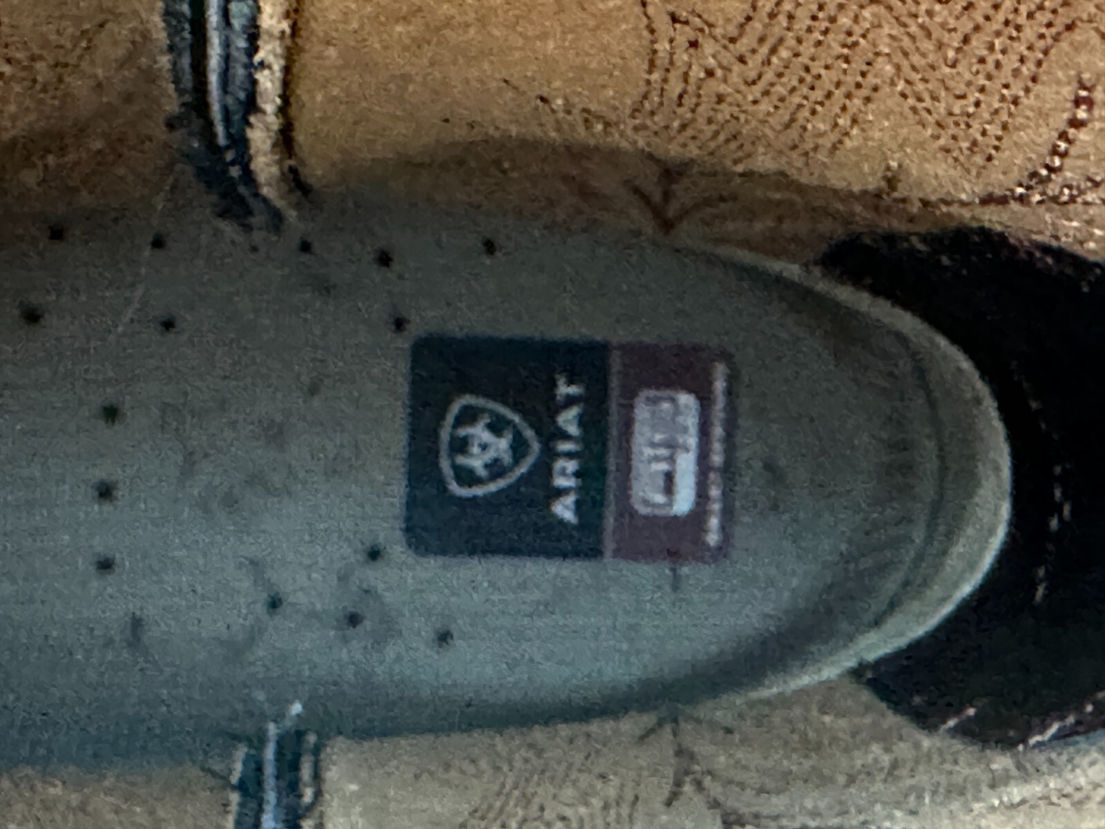 Foto 12 di 12
