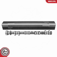 Nockenwelle Esen Skv 80SKV045 FüR Ford Focus 1 Daw Dbw Max DM2 2 Dfw Turnier Dnw
