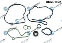 Dr. Motor Automotive DRM0192K Dichtungsset, Vakuumpumpe Audi 038145209A