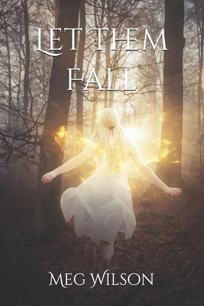 Let Them Fall Meg Wilson Taschenbuch Kartoniert / Broschiert Englisch 2019-image