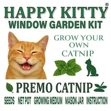 Happy Kitty Window Garden Kit, Catnip Seeds, Indoor Growing Set with Mason Jar