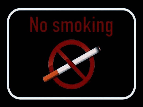 Holzschild 30X40 Cm No Smoking Rauchverbot Deko Geschenk Metall Schild-image