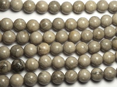 15'' Strand ''Petoskey'' FOSSIL CORAL 12mm Round Beads NATURAL