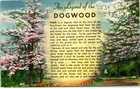 The Legend Of The Dogwood Tree Jesus Crucifixion  Postcard