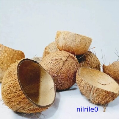 Ceylon 100% organic homemade coconut shell pure natural eco friendly half shells