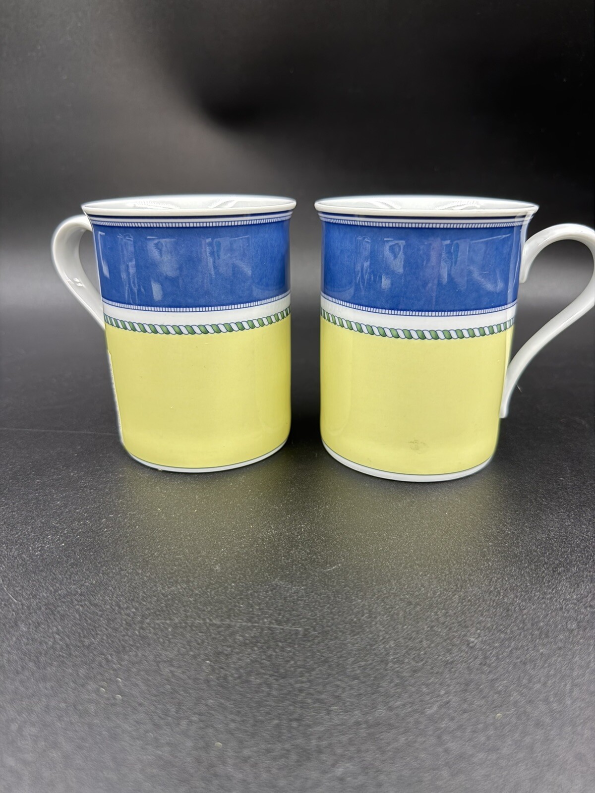 Wedgwood The Tuscany Collection Mugs Porcelain Set of 2