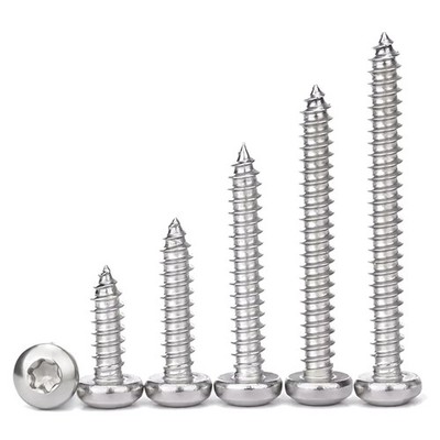 Holzschrauben Edelstahl M3x10 Torx 100 Stück selbstschneidend Holzschrauben