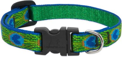 Dog Collar Lupine Pet Adjustable Tail Feathers 1/2'' Adjustable Collar, 10-16''