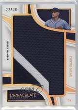 2023 Panini Immaculate Jumbo Memorabilia Jersey Number /38 Curtis Mead p8v