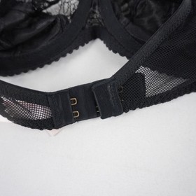 Agent Provocateur Leni Bra & Jaylin Brief Black Lace (Set of 2) - W Size 36B & 5