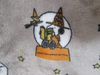 Couverture Polaire Halloween Snoopy Et Woodstock – Berkshire 50x70 Pouces (grise)