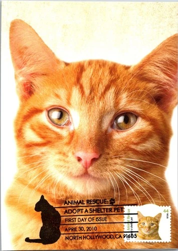 Dr Jim Stamps Maximum Card Animal Rescue Adopt A Shelter Pet 44C Fdc Bifold