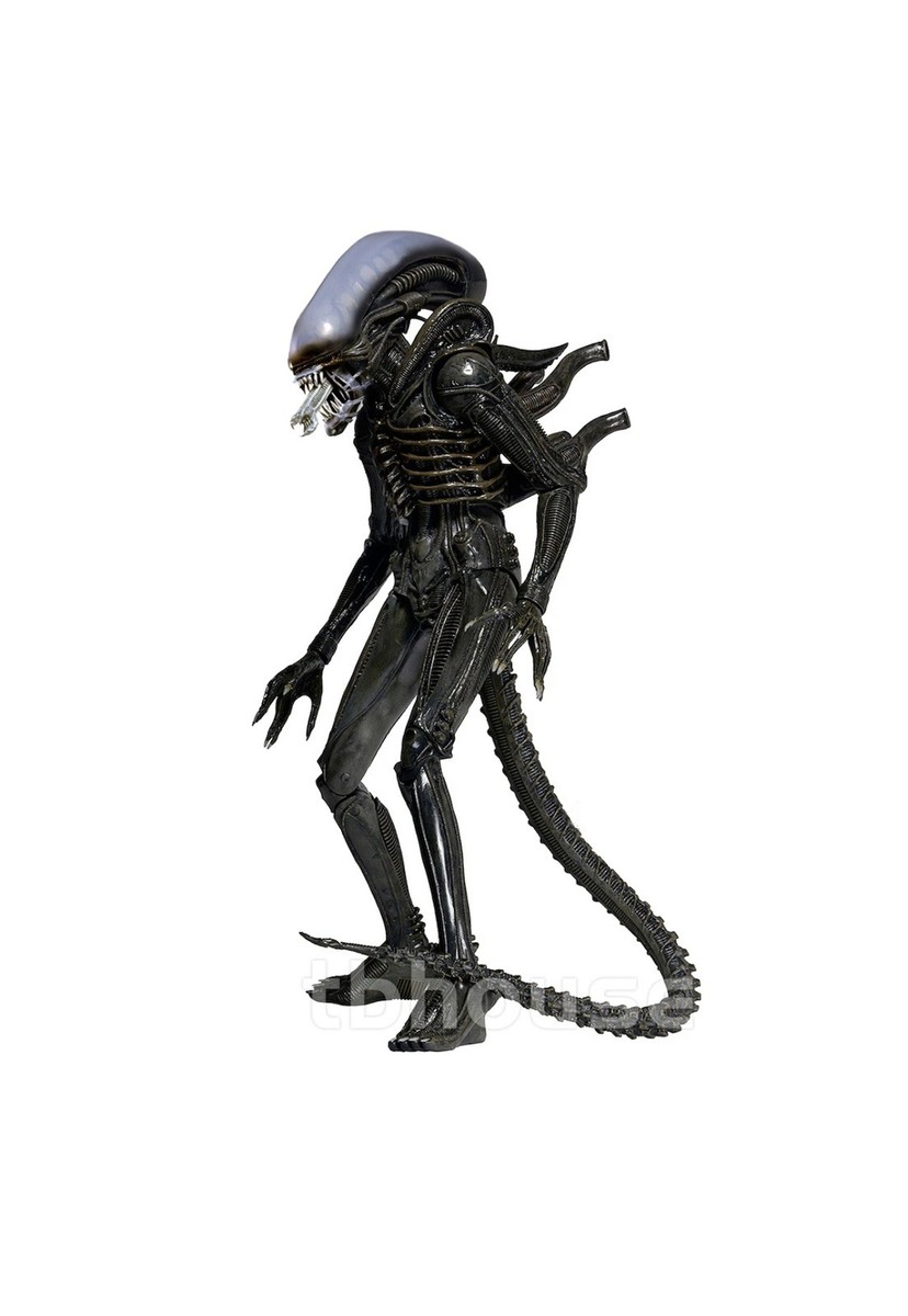 Alien 1979 Movie Big Chap Xenomorph 22