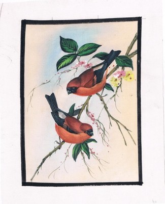 Handmade Miniature Painting of Birds Common Bullfinch on Silk Cloth 7X9''