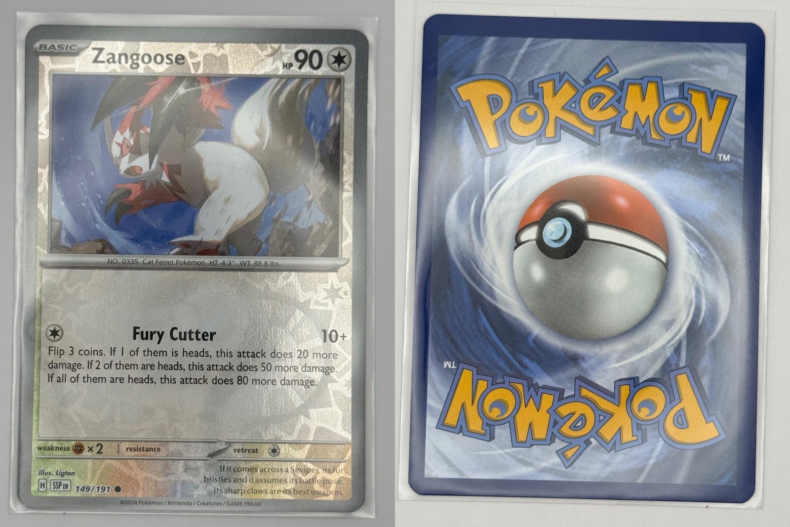 Zangoose 149/191 Common Surging Sparks Pokemon Reverse Holo Near Mint