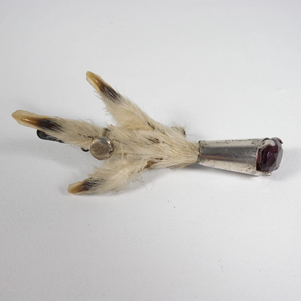 ANTICA SPILLA DA KILT SCOZZESE CELTICA ARGENTO AMETISTA ZAMPA GALLO CEDRONE 1800 - Immagine 3 di 4