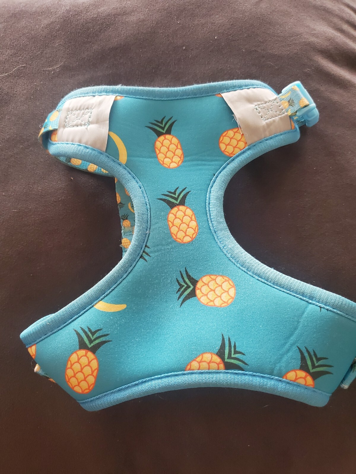 Small Dog Harness eBay