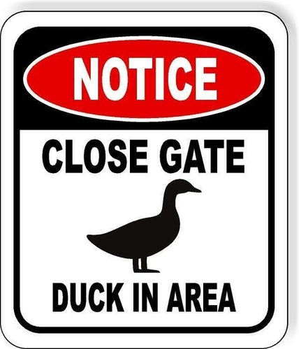 NOTICE CLOSE GATE DUCK IN AREA METAL Aluminum composite outdoor sign | eBay