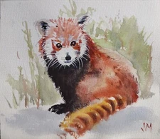 Original  Small Watercolor Painting Wild Red Panda  8" x 7" NOT A PRINT
