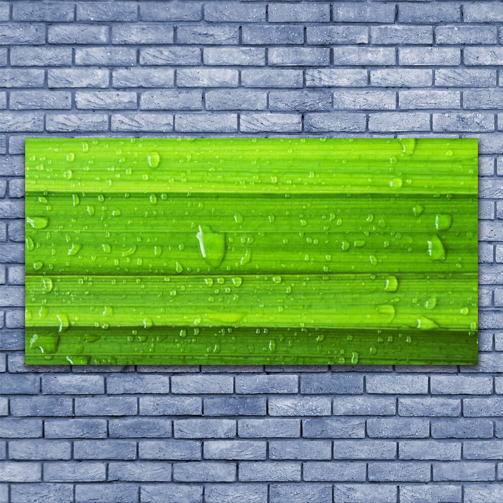 Tableau plexiglas 140x70 luxe nature herbe impression haute definition acrylique