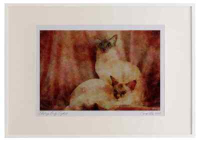 458008 Balinese, Blue Tabby Point And Seal Tortie Point Watercolour Picture Fra