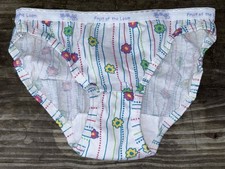 Fruit Of The Loom Girls Y2K Sz 8 Bikini Floral Cotton Panty Panties Underwear