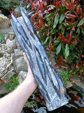 X Large Freestanding Orthoceras Fossil Tower Sculpture 50cm 7.3kg