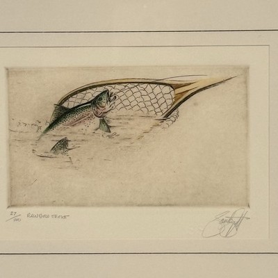 Sandy Scott Rainbow Trout Etching Signed & Numbered 27/200 Wildlife Fishing