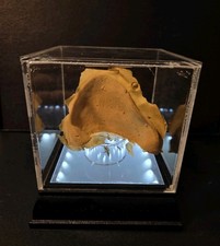 Star Wars Return of Jedi - EWOK EAR PIECE ( ORIGINAL MOVIE PROP )  1983 (COA)