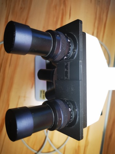 Microskop WILL Wetzlar, funktionsfähig, 4 Objektive - Bild 9 von 9