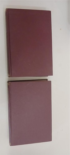 ABRAHAM LINCOLN A HISTORY 10 VOLUMES JOHN G NICOLAY JOHN HAY CENTURY 1914 ILLUS - Foto 7 di 12