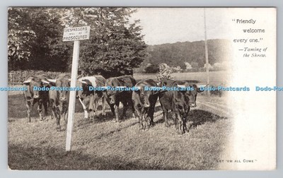 R802947 Friendly Welcome Every One Let em All Come Cows PM Carlisle 1903