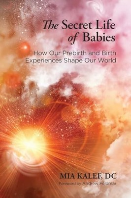 The Secret Life of Babies: How Our Prebi..., Kalef, Mia
