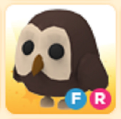 PET NEW HOT   FR Owl   The Trusted Store!!