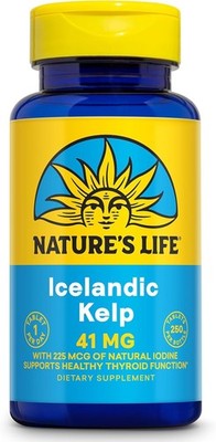 Nature's Life Icelandic Kelp 41 mg - Sea Kelp Iodine Supplement from Icelandic S