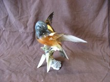 Magnifique oiseau en